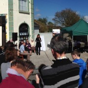 2014 Fleadh in the Sna